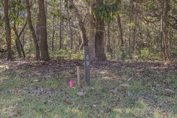 3934 Gnarled Oaks Lane photo 4