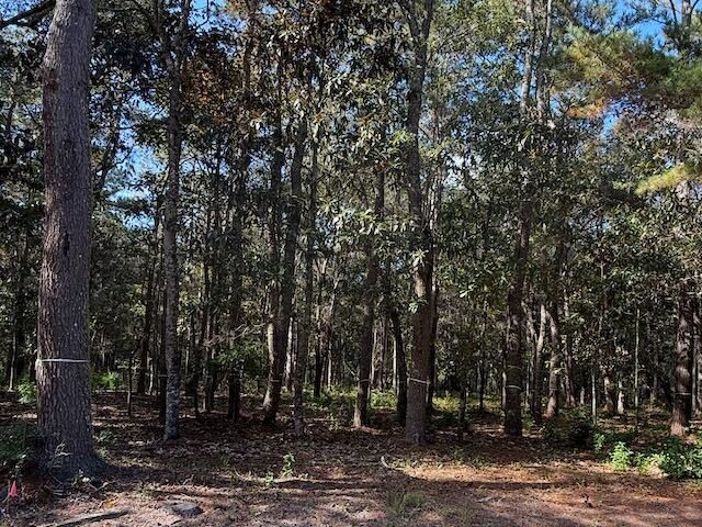 3934 Gnarled Oaks Lane Photo 8