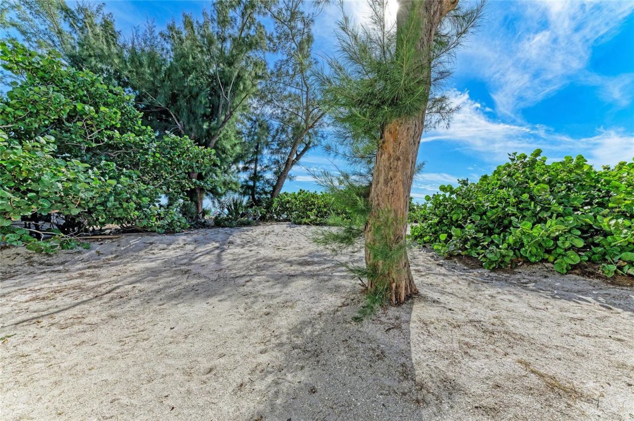 101 73rd Street, Unit 3, Holmes Beach, FL 34217 Photo