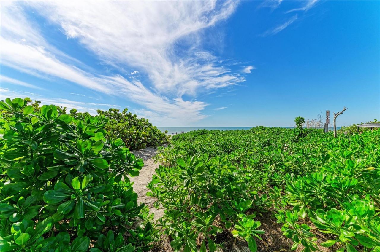 101 73rd Street, Unit 3, Holmes Beach, FL 34217 Photo