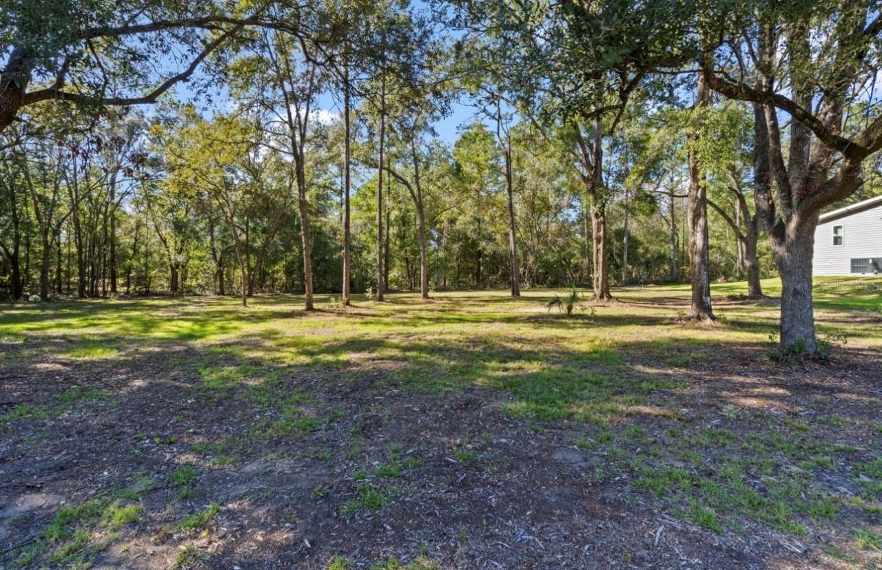 7990 NE 121 Street, Bronson, FL 32621 Photo