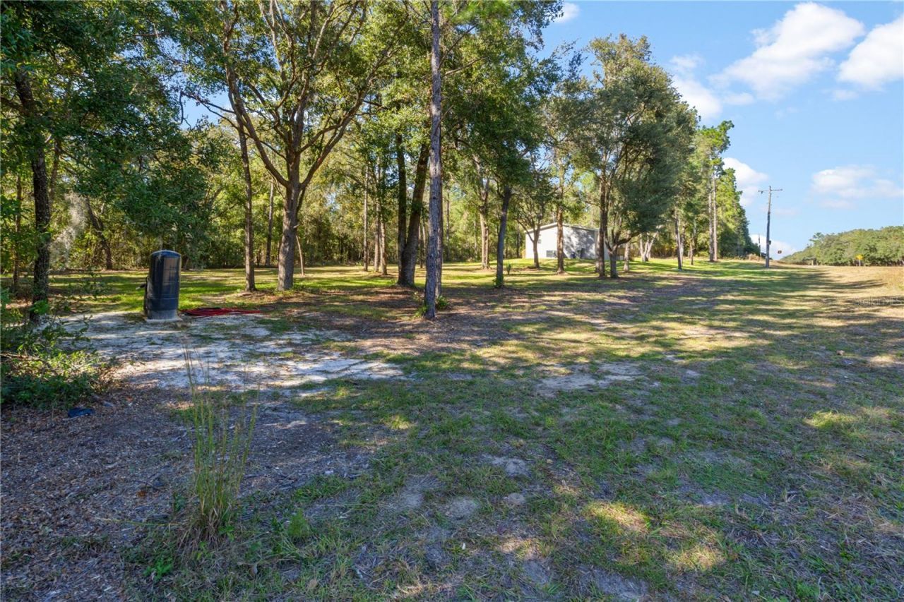 7990 NE 121 Street, Bronson, FL 32621 Photo