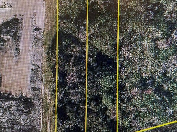 12325 & 12303 STAGG ROAD, WINTER GARDEN, FL 34787