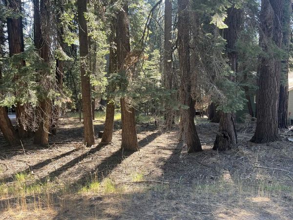 1130 Clifford Drive, Lake Almanor, CA 00000
