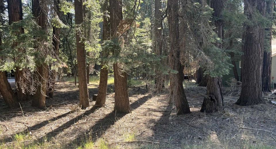 1130 Clifford Drive, Lake Almanor, CA 00000 Photo