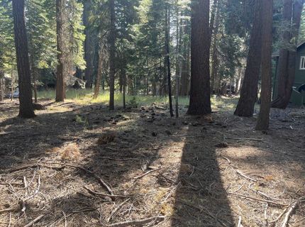 1130 Clifford Drive, Lake Almanor, CA 00000 Photo