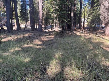 1130 Clifford Drive, Lake Almanor, CA 00000 Photo
