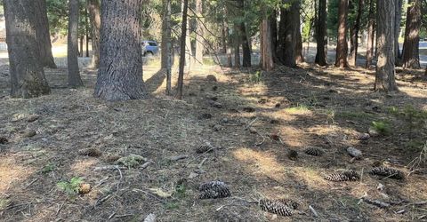 1130 Clifford Drive, Lake Almanor, CA 00000 Photo