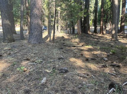 1130 Clifford Drive, Lake Almanor, CA 00000 Photo