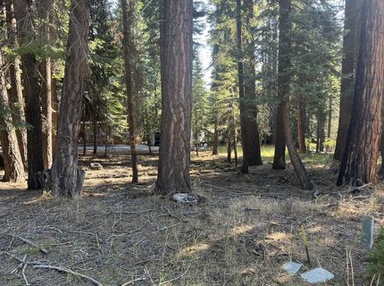 1130 Clifford Drive, Lake Almanor, CA 00000 Photo
