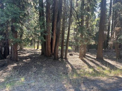 1130 Clifford Drive, Lake Almanor, CA 00000 Photo