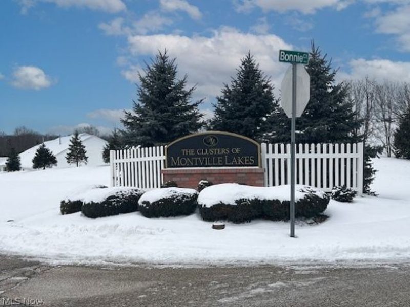 5667 Alfred Oval, Medina, OH 44256 Photo 2