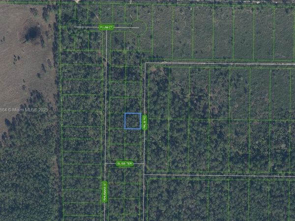 4817 Palm Road, Sebring, FL 33875