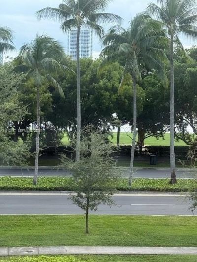 3625 N Country Club Dr, Unit 304, Aventura, FL 33180 Photo