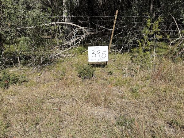 (LT) 395 Forest Trail Drive, Bandera, TX 78003