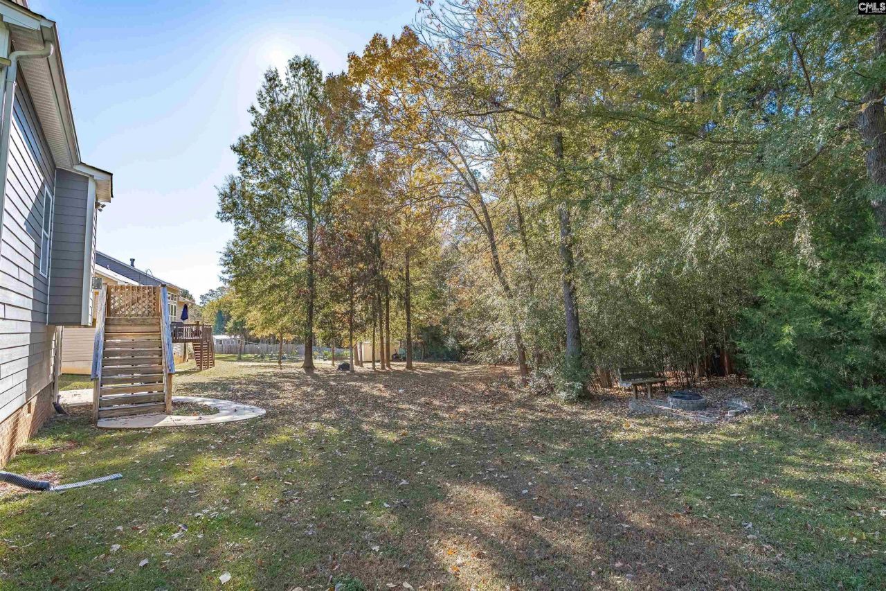 317 Eagle Claw Drive Photo 46