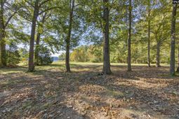 1109 Natures Cove Rd photo 4