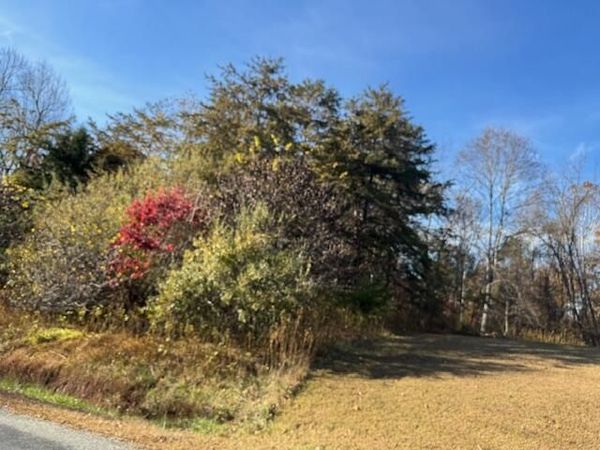 Lot 16 Walnut Run DR, Hardy, VA 24101