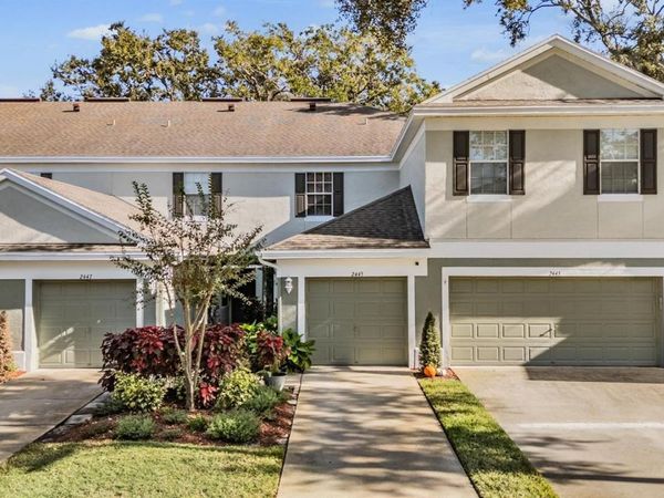 2445 EARLSWOOD COURT, BRANDON, FL 33510