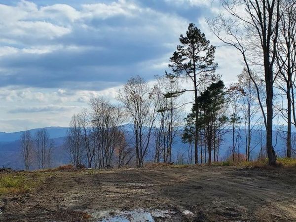 ATV Hilltop Lot K Rd, Huntsville, TN 37756