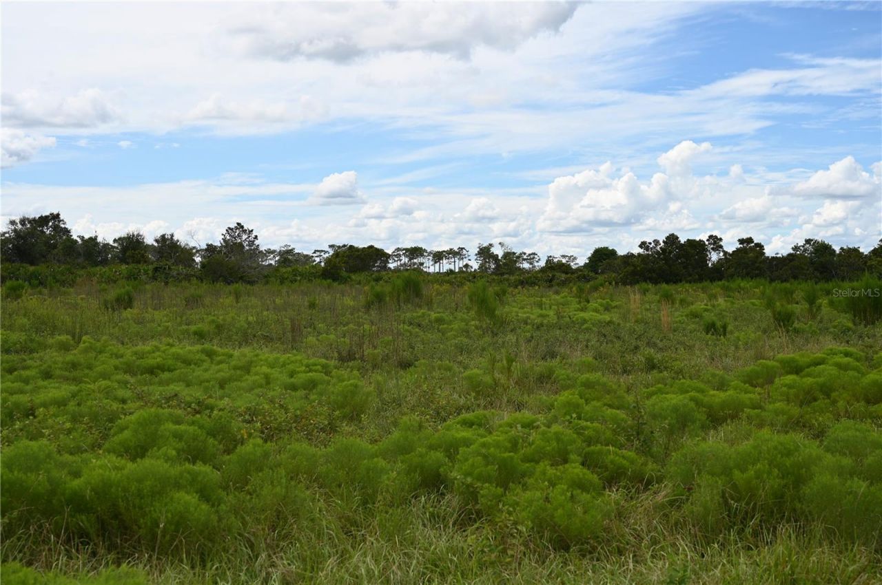 County Line Road E, Fort Meade, FL 33841 Photo