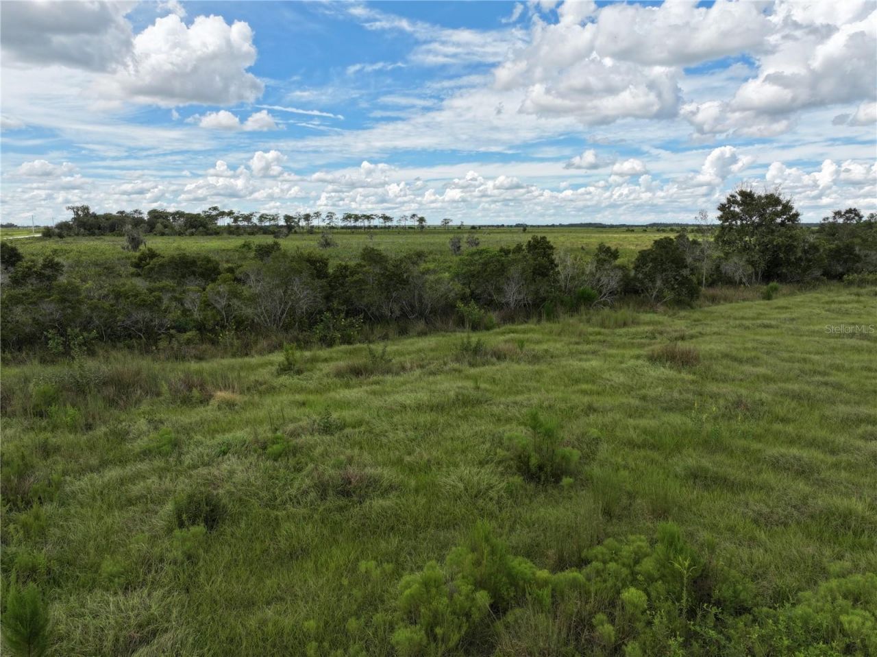 County Line Road E, Fort Meade, FL 33841 Photo