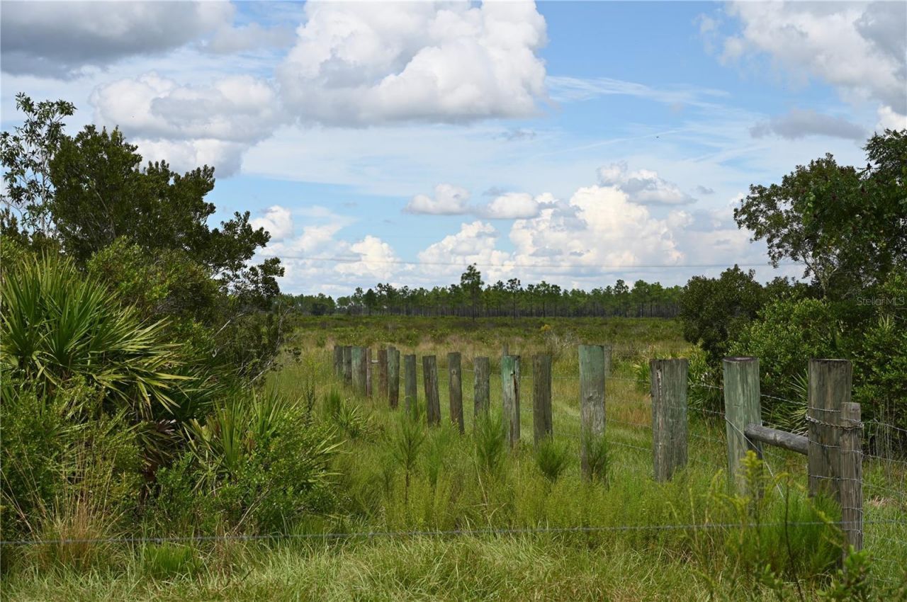County Line Road E, Fort Meade, FL 33841 Photo