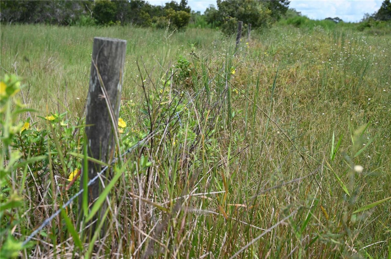 County Line Road E, Fort Meade, FL 33841 Photo