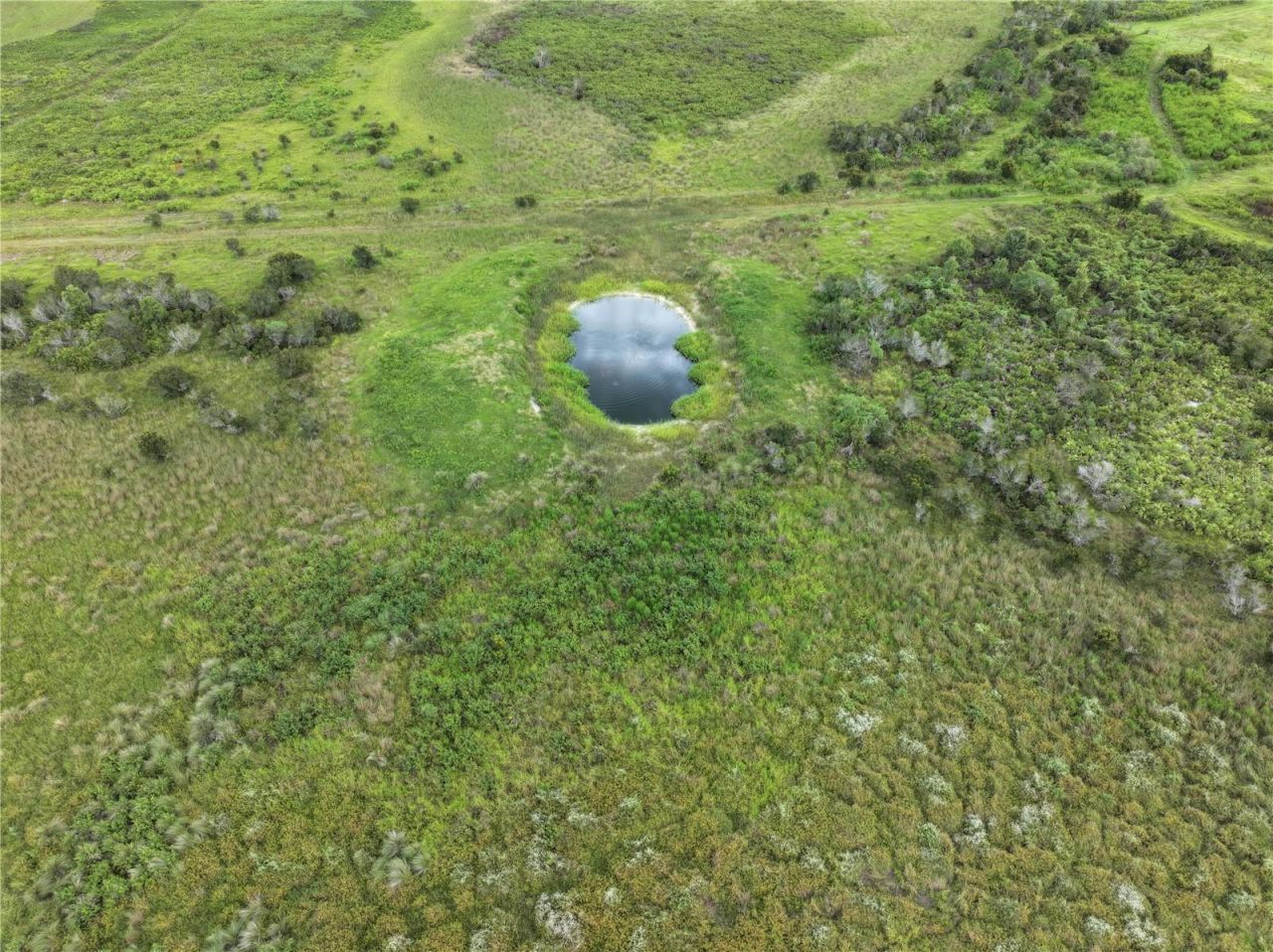 County Line Road E, Fort Meade, FL 33841 Photo