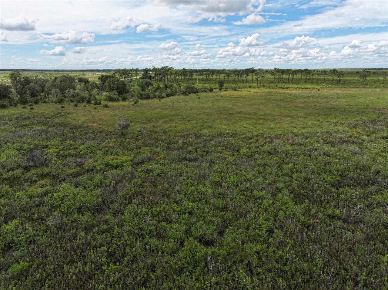 County Line Road E, Fort Meade, FL 33841 Photo