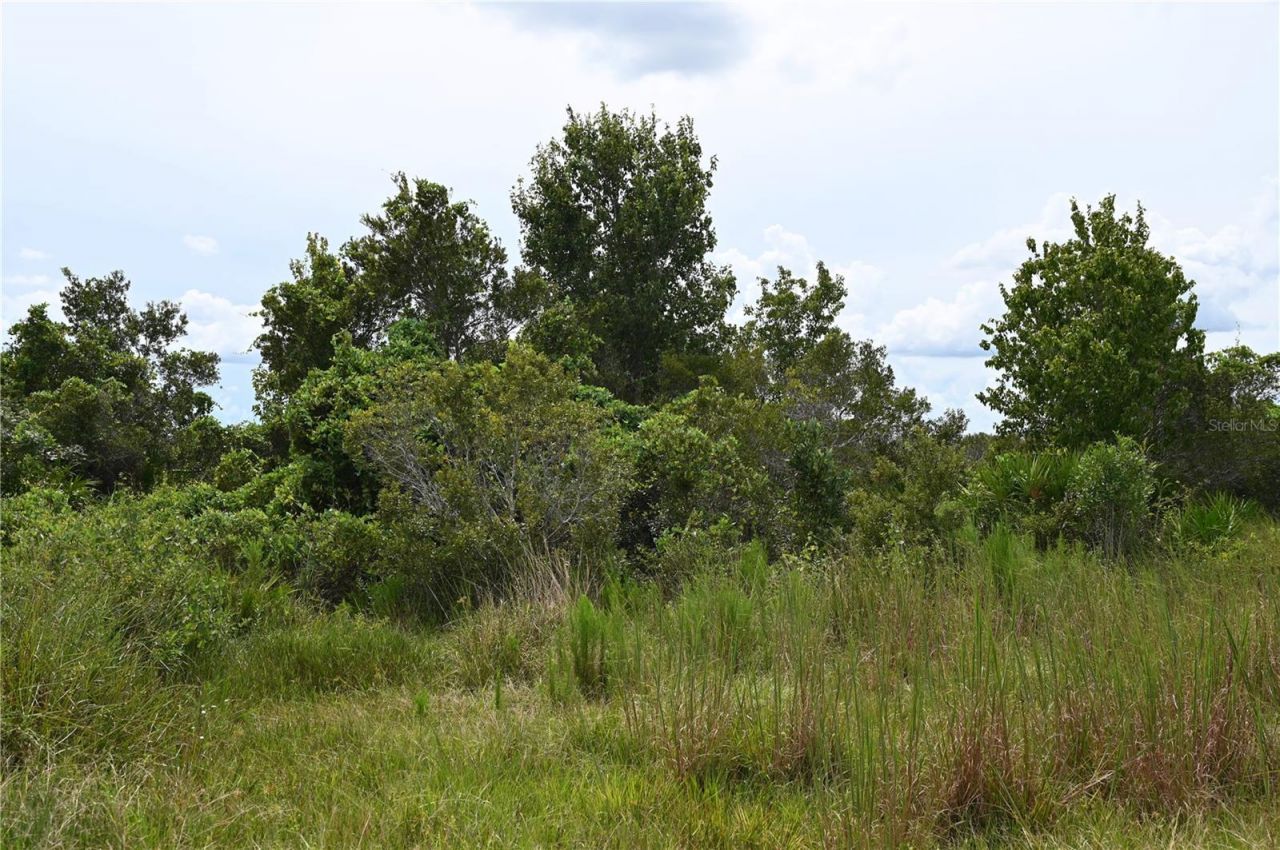 County Line Road E, Fort Meade, FL 33841 Photo