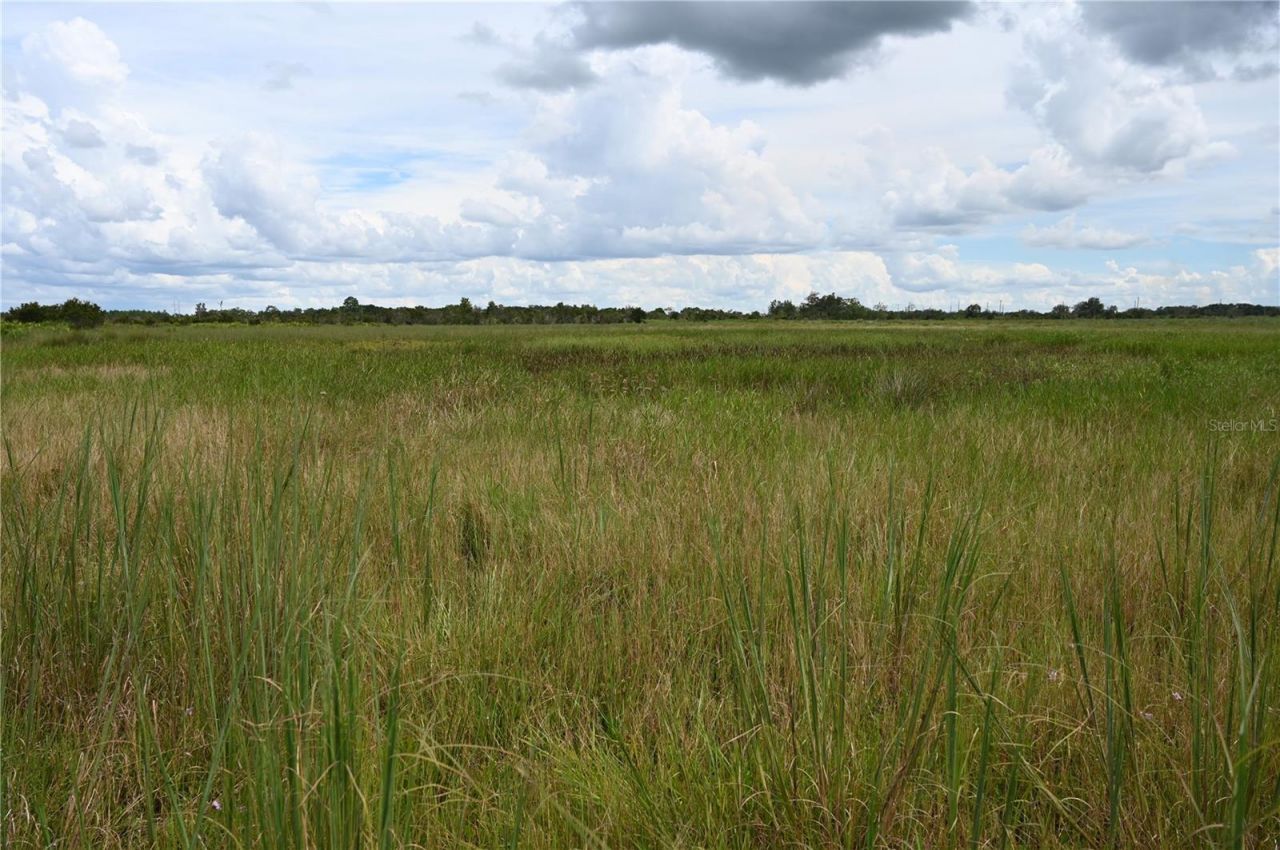 County Line Road E, Fort Meade, FL 33841 Photo