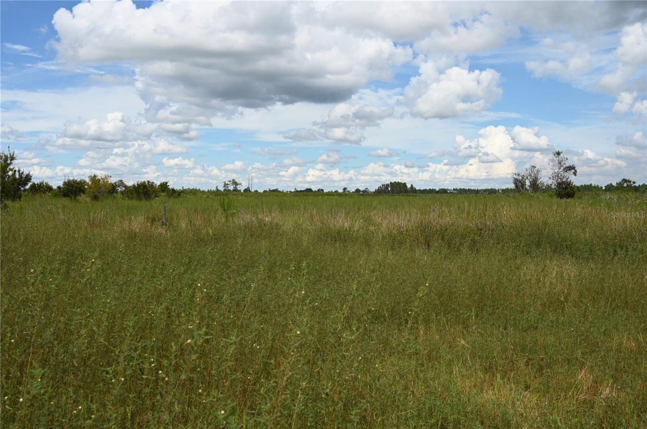 County Line Road E, Fort Meade, FL 33841 Photo