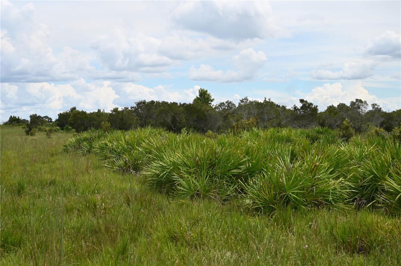 County Line Road E, Fort Meade, FL 33841 Photo