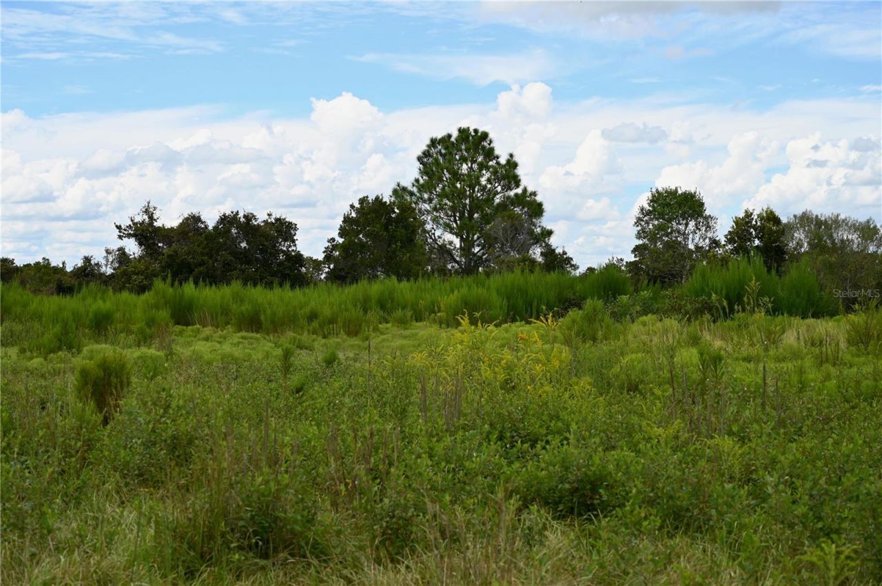 County Line Road E, Fort Meade, FL 33841 Photo