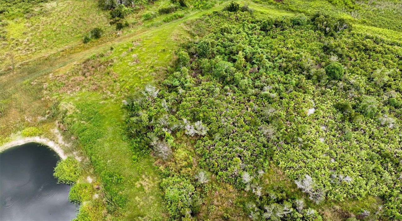 County Line Road E, Fort Meade, FL 33841 Photo