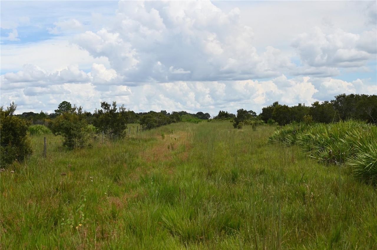County Line Road E, Fort Meade, FL 33841 Photo