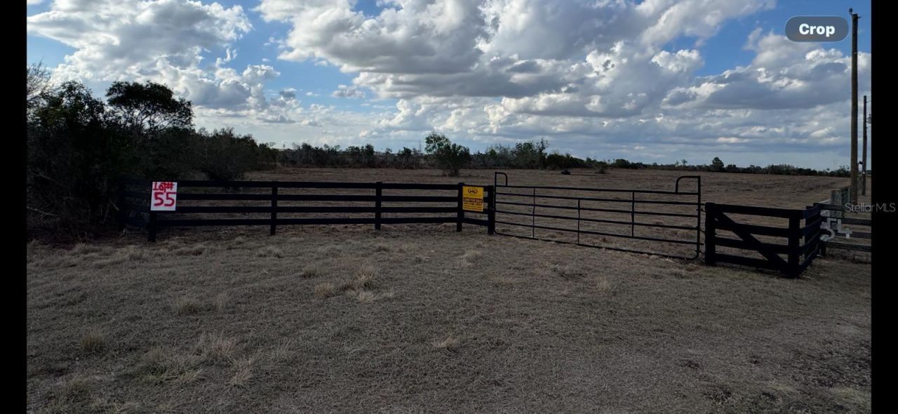 County Line Road E, Fort Meade, FL 33841 Photo