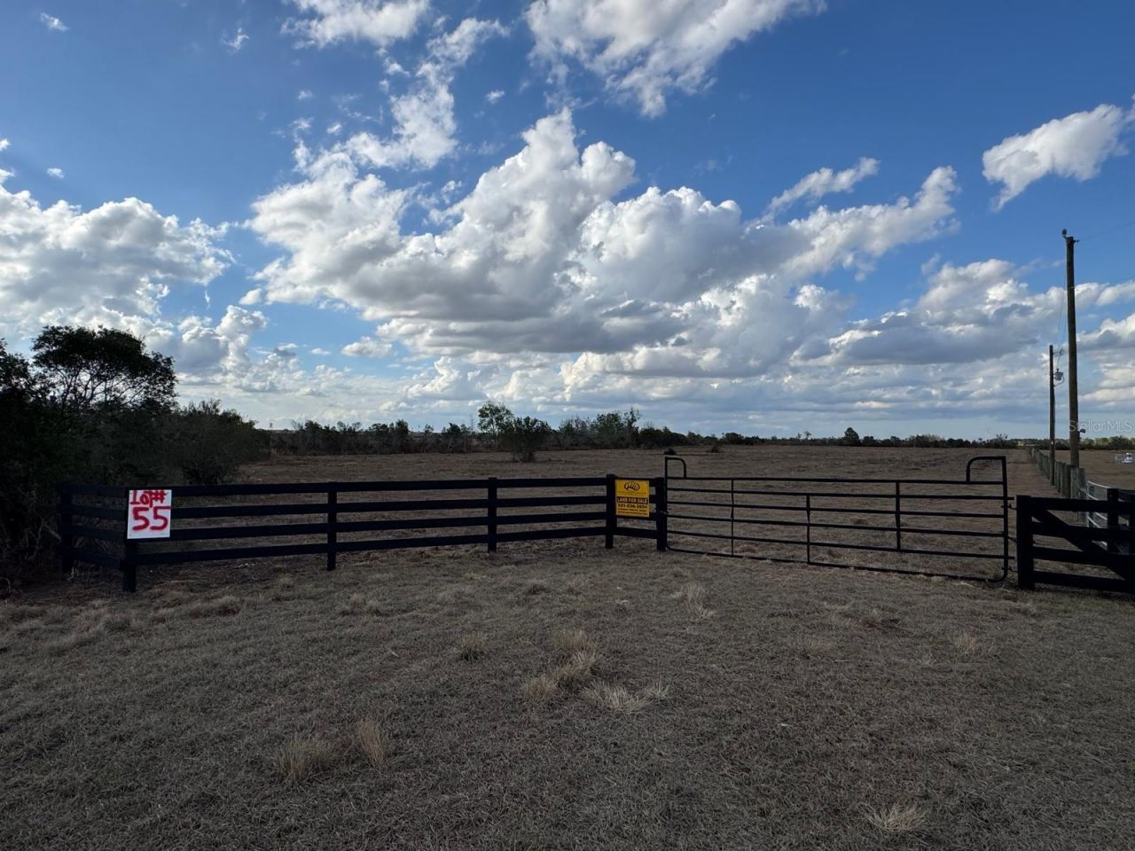 County Line Road E, Fort Meade, FL 33841 Photo