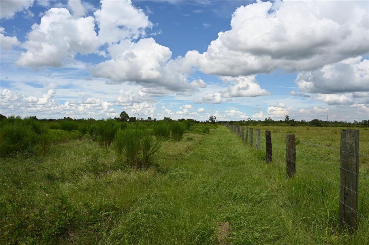 County Line Road E, Fort Meade, FL 33841 Photo