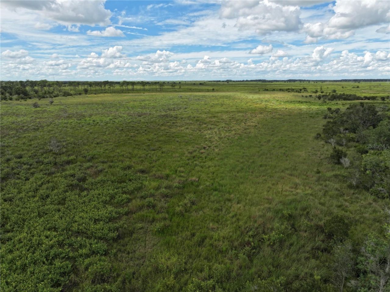 County Line Road E, Fort Meade, FL 33841 Photo