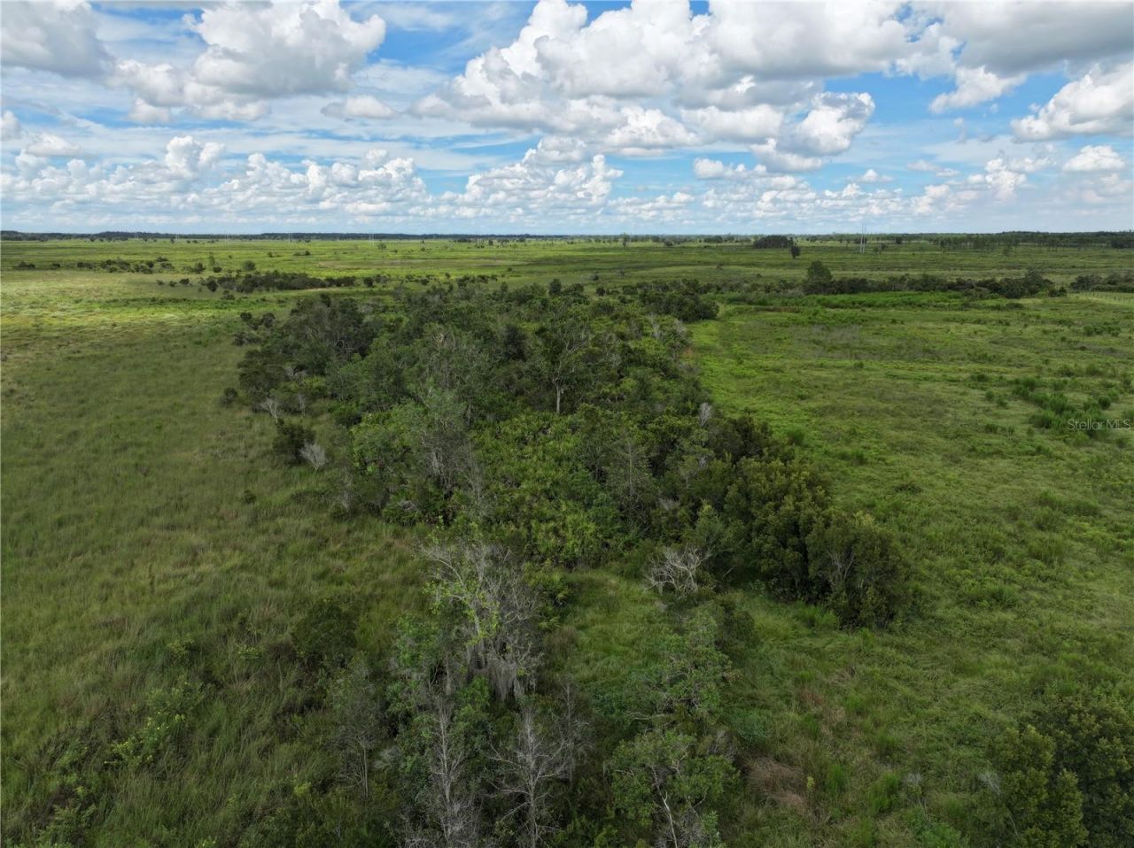 County Line Road E, Fort Meade, FL 33841 Photo