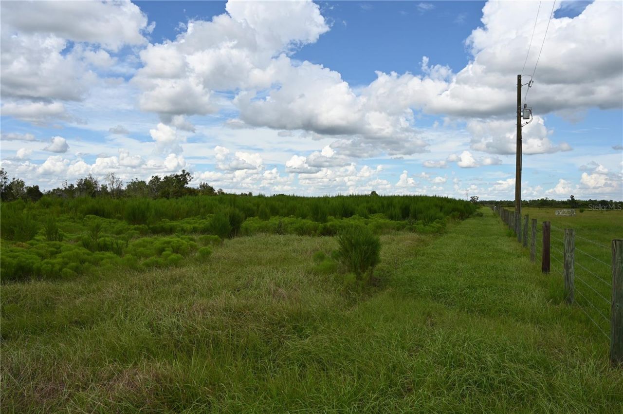 County Line Road E, Fort Meade, FL 33841 Photo