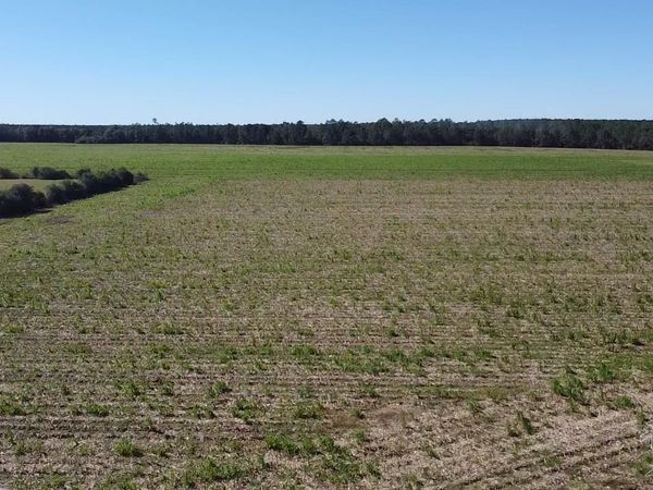 5600 Block Hwy 97, Walnut Hill, FL 32568