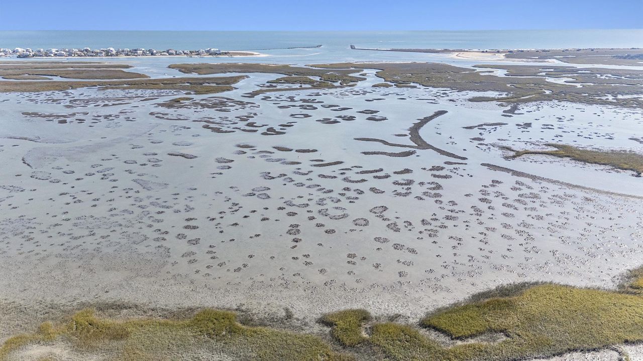 4840 Moss Creek Loop Photo 37