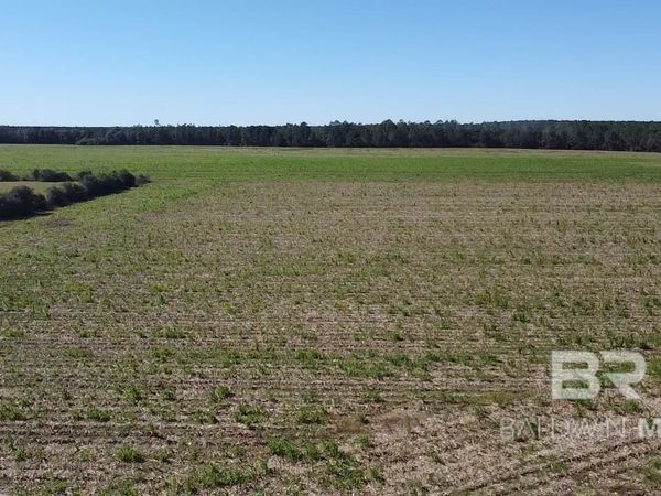 5600 Block Highway 97, Walnut Hill, FL 32568