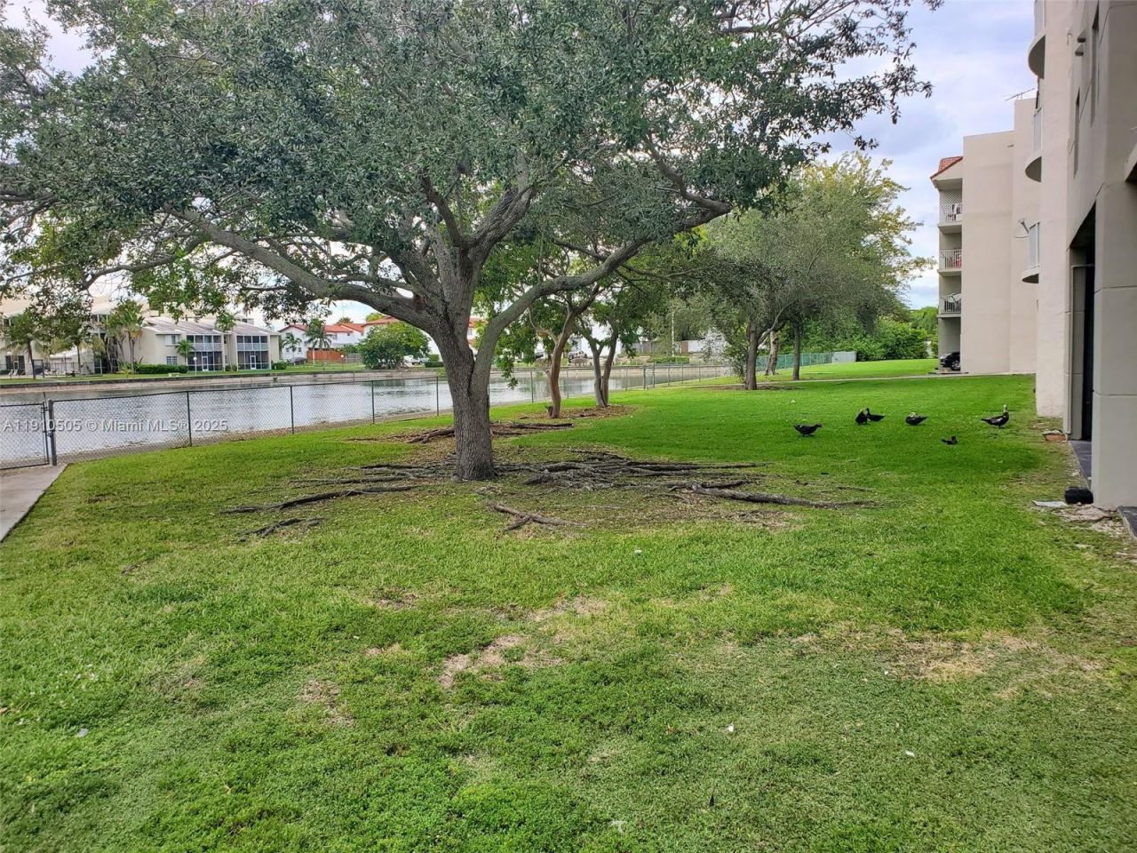 8260 SW 210th St, Unit 217, Cutler Bay, FL 33189 Photo