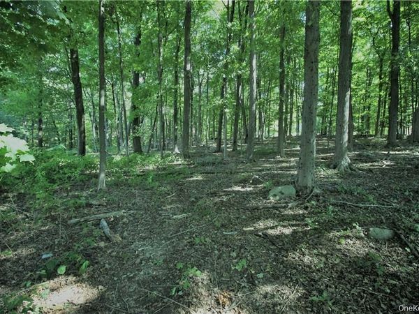 58-62 Walmer Lane, Cold Spring, NY 10516