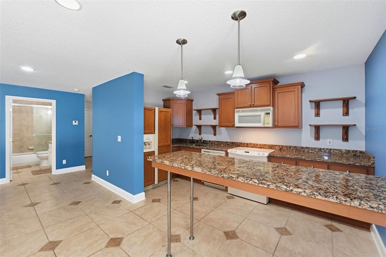 580 W 10th Avenue, Mount Dora, FL 32757 Photo