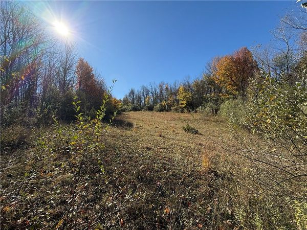 Willowdale Drive, Macedon, NY 14502